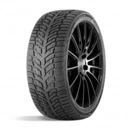 Doublestar Winterking DW08 185/55R15 82T